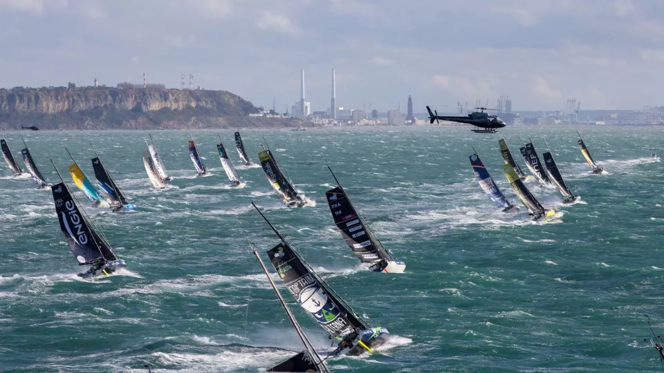 Regatta